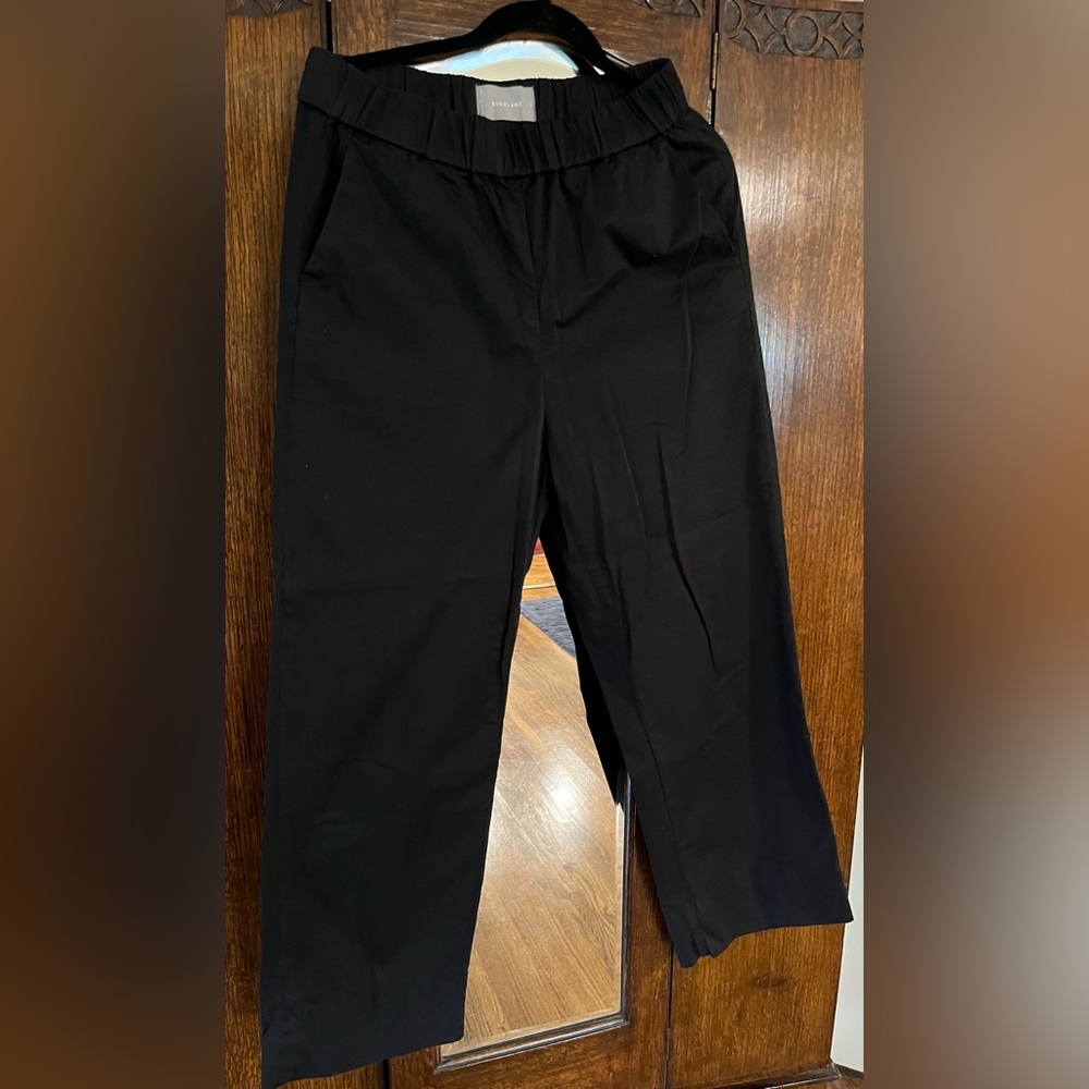 Everlane Black Elastic Waist Pants